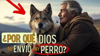 🐾 ¿POR QUÉ DIOS PUSO un PERRO en tu VIDA DESCÚBRELO AQUÍ 🙏🐶 [upl. by Rasmussen271]