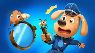 Be Careful of Termites Sheriff  Safety Cartoon  Kids Cartoon  Sheriff Labrador  BabyBus [upl. by Romulus]