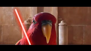 Red bird meme  Star Wars Episode 01  The Red Parrot Menance [upl. by Einahets]