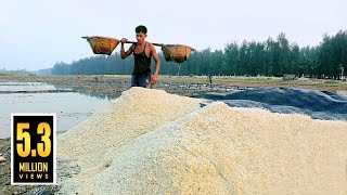 লবণ ক্ষেতের quotলবণquot  How to Make Salt in Bangladesh [upl. by Attenol]