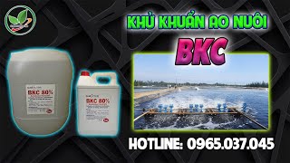 BKC 80 SẢN PHẨM XỬ LÝ NƯỚC DIỆT KHUẨN AO NUÔI TÔM [upl. by Aleunamme664]