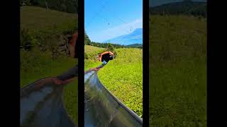 Tobogganing ride Switzerland switzerland mountains pilatus [upl. by Oakes]