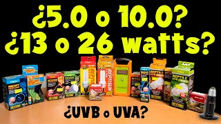 RESPONDO TODAS TUS DUDAS SOBRE FOCOS UVB UVA Y CERÁMICA [upl. by Eddy]