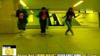 Bird Walk Dance Instructional Video [upl. by Nuaj]