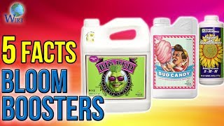 Bloom Boosters 5 Fast Facts [upl. by Bjorn]