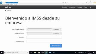 Configuración de acceso IDSE IMSS [upl. by Imefulo]