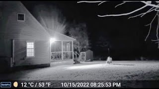 THIS IS THE MOST ALARMING FOOTAGE EVER CAPTURED ON A RING CAM [upl. by Notyrb]