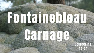 Bouldering in Fontainebleau  Carnage amp Classics in France 6A to 7C [upl. by Scrogan]