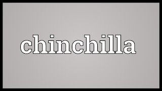 Chinchilla Meaning [upl. by Nabe]