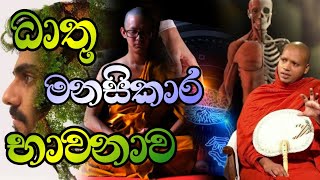 ධාතු මානසිකාර භාවනාව සම්පුර්ණයෙන්ම Hasalaka Seelawimala Thero හසලක සීලවිමල හිමි [upl. by Delaney]