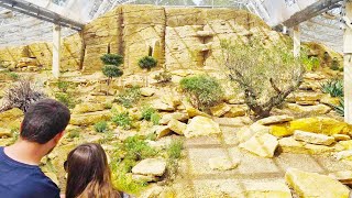 Worlds Largest Uromastyx Enclosure Tour [upl. by Eusassilem]