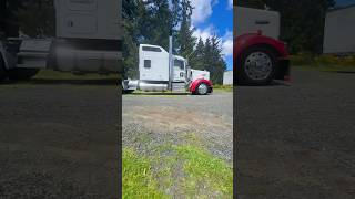 hiphop rap love music w900l family trucking semi trailer song polishing polish chrome [upl. by Enohs427]