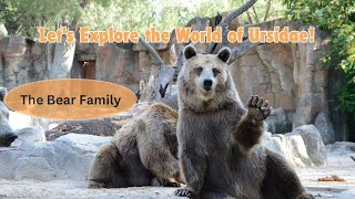 Lets Explore the World of Ursidae The Bear Family [upl. by Attenal176]