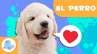 EL PERRO 🐶 Animales para niños 🏡 Episodio 15 [upl. by Gould]