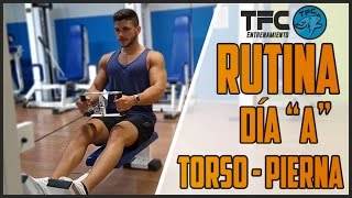 CÓMO PLANIFICAR UNA RUTINA DE TORSOPIERNA PARTE 1  The Fit Club [upl. by Ansilma]