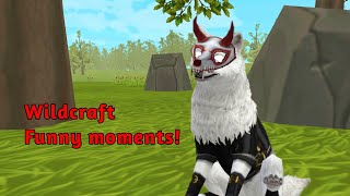 Wildcraft Funny Momentsmemes desc pls [upl. by Darda]