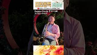 모란동백조영남 Saxophone Cover By 부자아빠 부산 엄궁432 amp 200 [upl. by Nich]