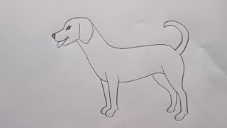 how to draw dog drawing easy step by step DrawingTalent [upl. by Grayson]