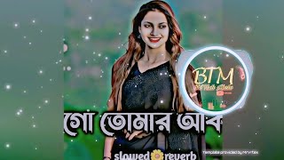 Ogo Tomar akash duti Chokha  Diya Jahan  Hasan S lqbal  Slow Reverb  New Bangla Song [upl. by Roos114]