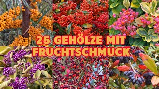 25 schöne Gehölze mit bunten Früchten und Beeren für den Herbst Vogelnährgehölze Bäume Sträucher [upl. by Enohpets87]