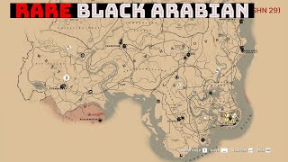 Getting The Rare Black Arabian Horse Free  RDR2 [upl. by Fabiola]