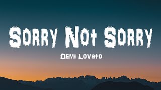 Demi Lovato  Sorry Not Sorry Lyrics [upl. by Ynettirb]