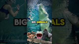 World’s BIGGEST Animals 😨🤯 [upl. by Nnawtna739]