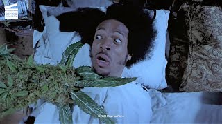 Scary Movie 2 Shorty gets smoked by his own weed HD CLIP [upl. by Aleil]