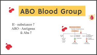 ABO Blood Group System  ABO Antigens and antibodies  Explained in Hindi [upl. by Jaquelyn]