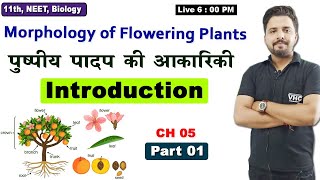 Part 01 Morphology of Flowering Plants Introduction 11th Biology [upl. by Odlonra]