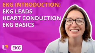 Placement of EKG Leads Heart Conduction System EKG Basics  EKG Interpretation  LevelUpRN [upl. by Alyahc]