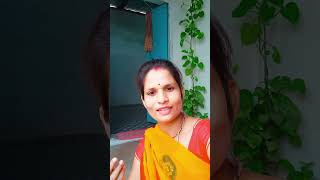 Rishi Panchami pooja vimlapanthivlogs youtubeshorts trending ytshorts viralvideo [upl. by Oech]