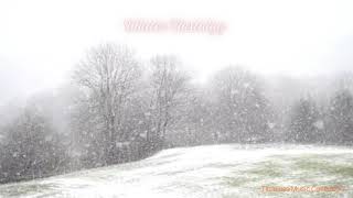 Winter Nostalgy  Romantic Piano Instrumental Love Song with beautiful snowfall scene [upl. by Outlaw164]