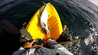 Kayak Kingfish Masirah Oman [upl. by Nancy]