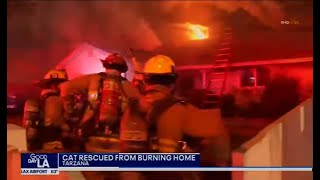 FoxLA LAFD Rescues Cat From Burning Tarzana Home To Emotional Reunion with Owner  July 26 2024 [upl. by Arihsat]