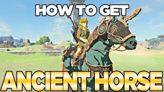 How to Get the Ancient Horse Armor in Breath of the Wild The Champions Ballad  Austin John Plays [upl. by Folberth76]