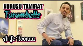 NUGUSU TAMIRAT  Amalele  Great oromo music of all time [upl. by Romain]