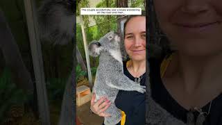 Couple saved poor koala from road and then koala babykoala short [upl. by Adnahc]