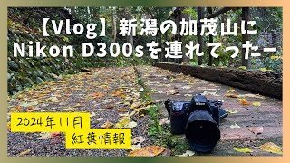 【Vlog】新潟の加茂山にNikon D300sを連れてったー [upl. by Loralie764]