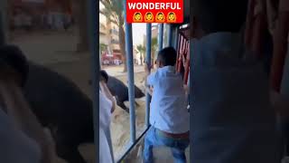 ANIMALISTIC Wonderful shorts viralvideo running wow [upl. by Ertha]