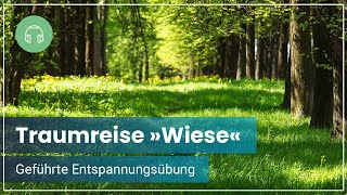 Geführte Meditation  Traumreise im Grünen für inneren Frieden und pure Entspannung 🌼 [upl. by Dalila]