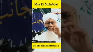 Maa Ki Mohabbat  Molana Sajjad Nomani DB  shorts msajjadnomaninewbayan2024 islamic reels [upl. by Serg]