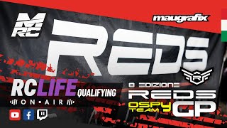 REDS GP 2024  Nitro Buggy RC Race  Ospyteam Gussago [upl. by Clem]