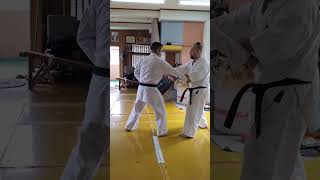 kyu no yakusoku kumite Yonabaru dojo training of sparring combinations  Uechi ryu Karate Hozonkai [upl. by Enortna]