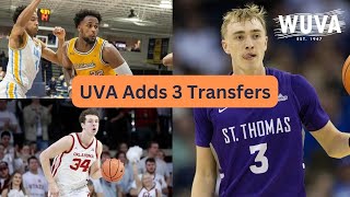 UVA Mens Basketball Adds Three Transfers [upl. by Nnylannej]