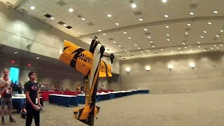 AMA Expo aerobeez Demo Flights 2016 [upl. by Anura]