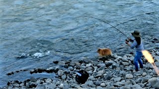 Sockeye Salmon Fishing  BC Canada [upl. by Oiril]