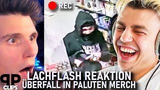 Zuschauer überfällt Tankstelle in Paluten Merch  Stegi amp Papaplatte Lachflash Reaktion [upl. by Eelrefinnej175]