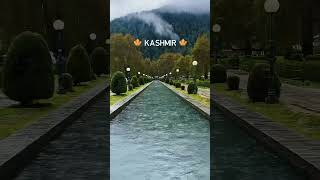 Embrace renewal and peace at Verinag Spring where tranquility whispers amidst Kashmirs beauty [upl. by Notrub]