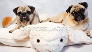 DIY Hundepullover nähen [upl. by Lilian]